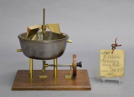 Patent model for fish preservation