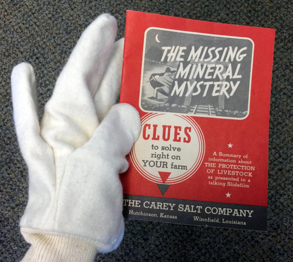 Fun mystery book based on salt