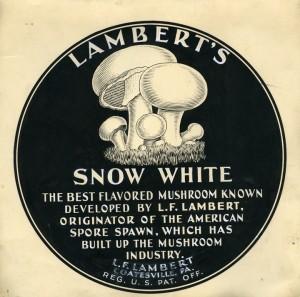 Lambert's Snow White Mushroom label