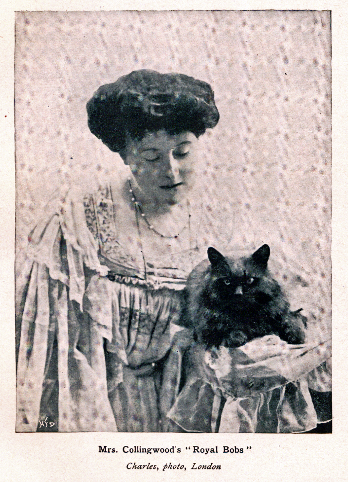 A dark haired cat is held by his owner, a brunette woman in a fancy ruffled dress.