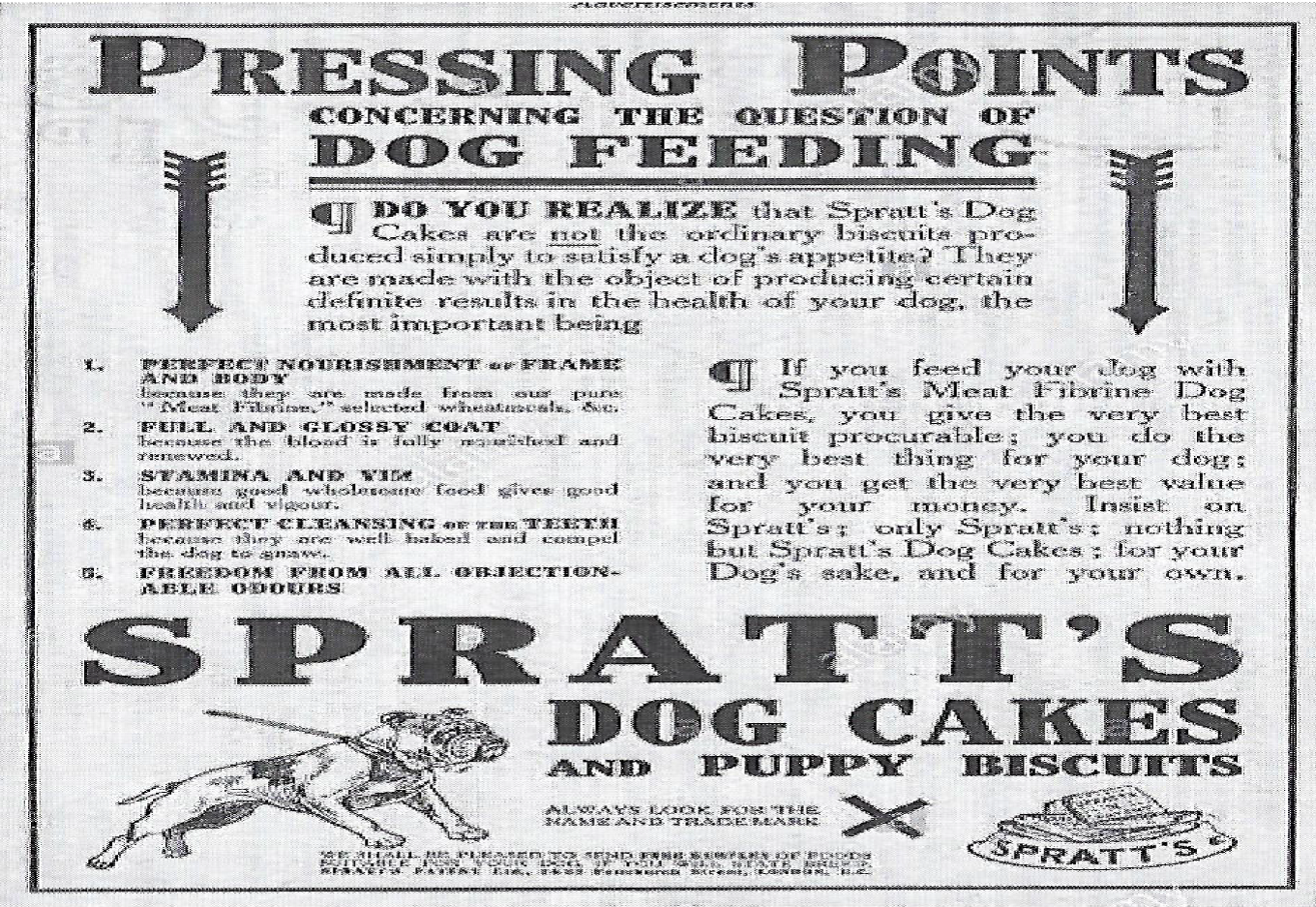 Spratts shop dog cakes