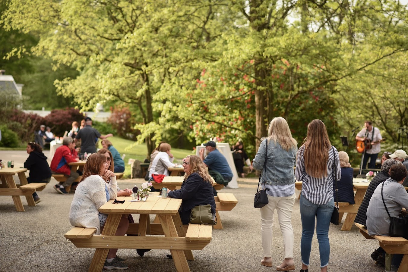 Hagley Alfresco, credit Kerry Harrison