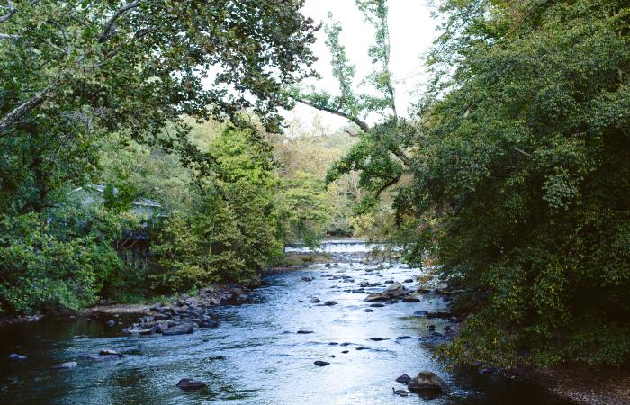 brandywine.jpg