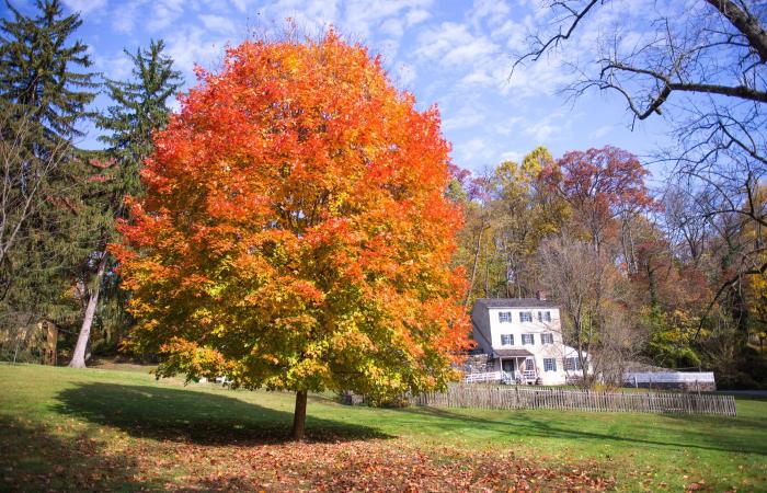hagley-fall-property-shoot-068-print.jpg