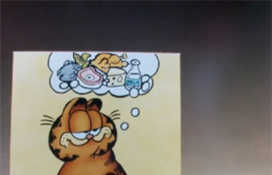 ambassadors_Alpo_Garfield_prototypes_color.jpg