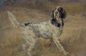 Dog1 1954.1.313prof-sv (002).jpg