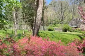 image-virtual-tour-azaleas.jpg