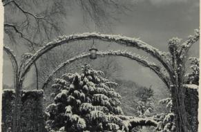 Black and white image of an arbor and pine trees in the snow at Longwood Gardens