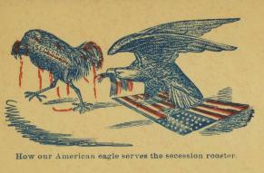 Eagle, standing on American flag, holding feathers (or a scalp) in his beak of a rooster labeled 'se